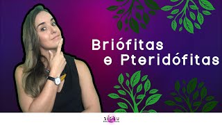 BRIÓFITAS E PTERIDÓFITAS  BOTÂNICA  Prof Louise Medeiros [upl. by Burrus]