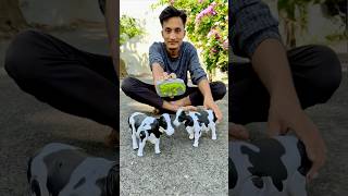 Rc Remote Control Two Cow Unboxing 🐄🔥 [upl. by Walston]