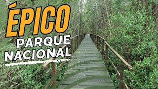 Explorando el asombroso Parque Nacional Pre Delta en Entre Ríos  Motovlog [upl. by Esalb711]