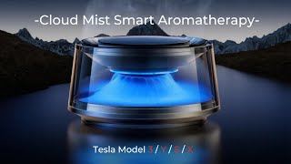 Make driving Tesla more relaxed  Plasma Car Aromatherapy  Teswing [upl. by Elata]