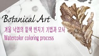 Botanical Art 겨울낙엽의 밑색 번지기와 묘사 Watercolor coloring process물이 충분히 스며든 종이는 물감의 번지기 기법에 중요한 포인트 [upl. by Dickerson]