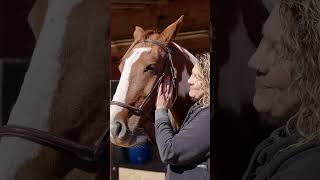 Saddle Up at Rivers Bend Ranch [upl. by Arabelle]