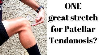 ONE perfect stretch for patellar tendonosis [upl. by Daigle]