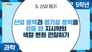 티솔루션 초등 52 과학⭐️산성 용액과 염기성 용액을 섞을 때 지시약의 색깔 변화 관찰하기 [upl. by Thad]