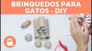 4 brinquedos para gatos com rolos de papel [upl. by Bala]