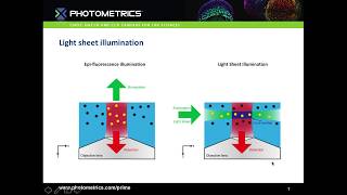 Introduction to Light Sheet Microscopy [upl. by Yves]