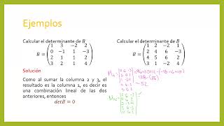 Precálculo 03102024 Determinante de una matriz de 44 utilizando cofactores [upl. by Ehtylb]