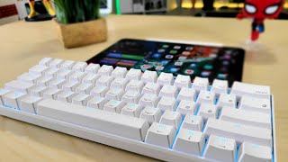 My Favorite New Portable Mechanical Keyboard for iPad Pro RK61 Review [upl. by Braun917]