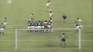 Rivelino Free Kick vs Germany [upl. by Huttan961]