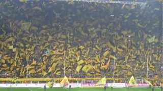 BVB Hymne Live einfach Geil [upl. by Aytnahs531]