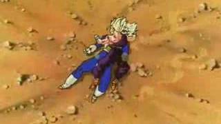 Dragonball Z Trunks dies AMV [upl. by Oicneconi]