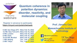 Quantum coherence in polariton dynamics vibrational coupling reactivity and disorder [upl. by Edniya]