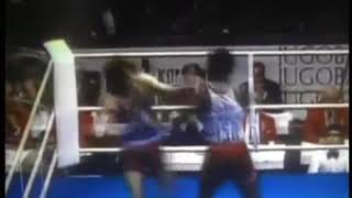 Teofilo Stevenson vs Dragomir Vujkovic Yug 1978 Boxing World Championship Final [upl. by Leanatan]