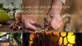 L’appellation Santenay vu par Frédéric Barnier de la Maison Jadot [upl. by Naginnarb]