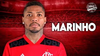 Marinho ► Bem vindo ao Flamengo OFICIAL ● 2022  HD [upl. by Hephzipa]