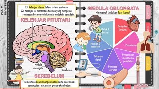 BIOLOGI KSSM TINGKATAN 4 121 amp 122 [upl. by Tennek159]