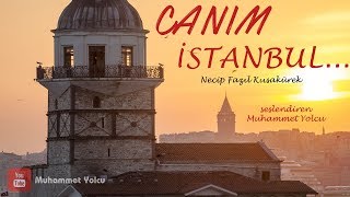 Canım İstanbul Şiiri  Necip Fazıl Kısakürek 🎼🎙 [upl. by Yung]