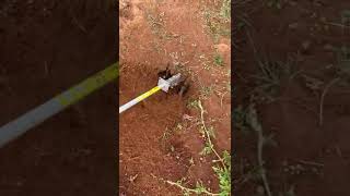 Brush cutter rs 7200 2500 9787672239 Melur Madurai TN India [upl. by Coumas]