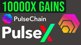 Pulse X Price at Launch Fastest 10000x  Pulsechain Hex [upl. by Kennie]