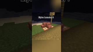 Elytra Launcher  minecraft build elytra 122 gaming [upl. by Aislehc]