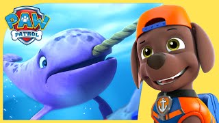 Sea Patroller Rescues  PAW Patrol Compilation  Cartoons for Kids [upl. by Demetri694]