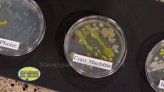 Growing Bacteria  Petri Dish [upl. by Jud]