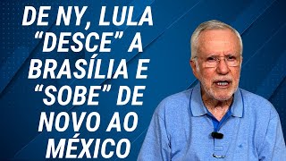 Recebem bolsa família e gastam em apostas [upl. by Hamid]