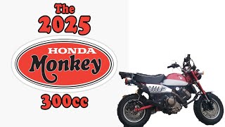 2025 Honda Monkey 300cc [upl. by Dettmer]