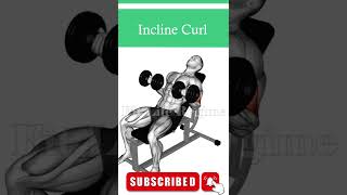 Long Head Bicep Dumbbell Exercises [upl. by Llibyc]