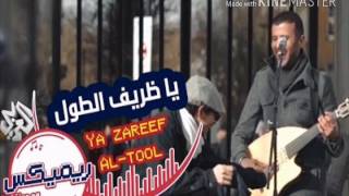 يا ظريف الطول  حمزة نمرة [upl. by Kire]