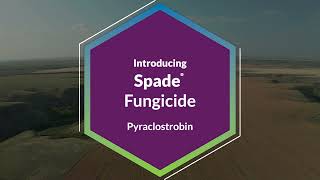 Spade® Fungicide [upl. by Arriec]