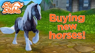 Buying the New Tinker Horse amp Fawncy  Star Stable Online [upl. by Berlin]