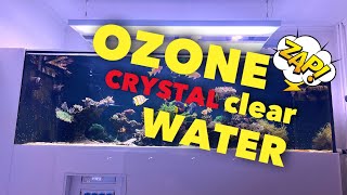 OZONE in reef tanks  it’s awesome [upl. by Sosna]