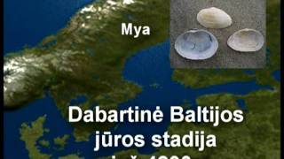 Baltijos jūros ekosistema 1 dalis [upl. by Nila961]