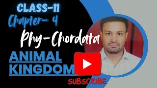 PHYLUM CHORDATA  Class 11th Phylum CHORDATA in easy hindi   NEET\BOARD [upl. by Nemrak]