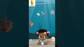 Starfish  Learning About Marine Life for Children  Cuteni Song For Kids  Animal shorts study [upl. by Niggem]