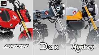 Battle of the Minis  Honda Monkey v Dax v GromWhich will reign supreme 4K [upl. by Aivitnahs754]