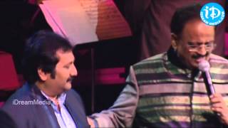 Botany Patamundhi Song  Maestro Ilaiyaraaja Music Concert 2013  Telugu  New Jersey USA [upl. by Nnaecarg]