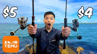 100 Temu Fishing Challenge [upl. by Animrac]