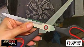 Sharpening Scissors Flush cutters and a quick polish on a stone using the JOOLTOOL  LIVE with Anie [upl. by Eittah399]