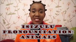 Clicking with uBusi  isiZulu Pronunciation lesson 1 Izilwane  Animals [upl. by Yrreb]