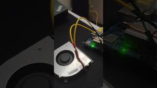 Orange Pi Zero 3  Cooling fan control [upl. by Sophronia250]