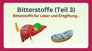 Bitterstoffe  Wirkung auf Leber Entgiftung und braunesFettgewebe Anwendung im Alltag 33 [upl. by Llesram]