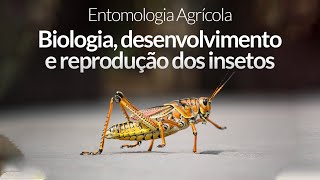 Entomologia Agrícola  Biologia desenvolvimento e reprodução dos insetos [upl. by Aenert]