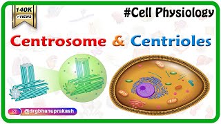 Centrosome and centrioles  USMLE Cell physiology Animations [upl. by Libnah]