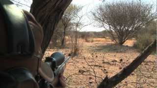 Hunting in Namibia by Mikael Tham [upl. by Magda949]