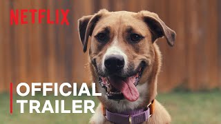 Inside the Mind of a Dog  Official Trailer  Netflix [upl. by Dralliw75]