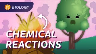 Chemical Reactions in Biology Crash Course Biology 26 [upl. by Butte275]