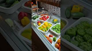 Trailer Sansibar 2024 [upl. by Anitnahs7]