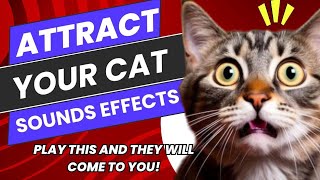 Cat Sounds To Attract Cats  Beats and Sounds Official [upl. by Grayson]